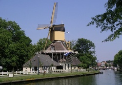 Mill T Haantje