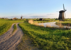 road among windmills on farms