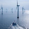 amazing forest of turbine windmills at sea