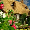 flower garden cottage