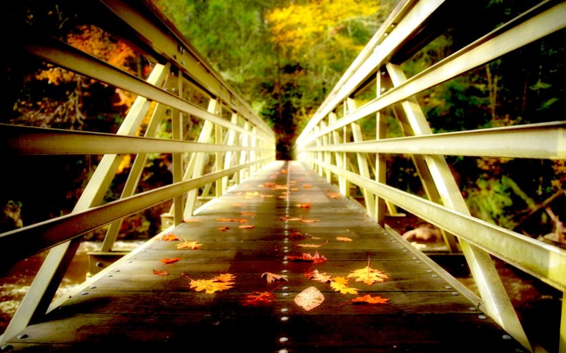 autumn_leaves_on_bridge.jpg