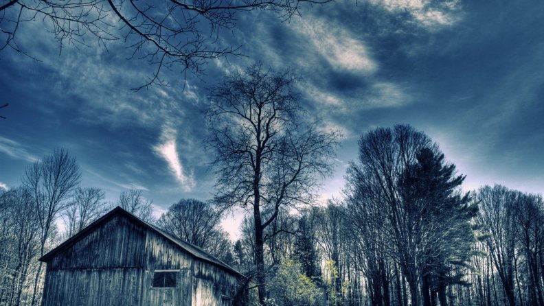 barn_in_a_forest_in_blue_hue.jpg