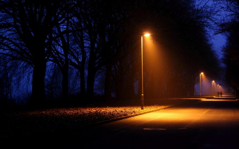 lamp posts at night along a park road