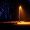 lamp posts at night along a park road