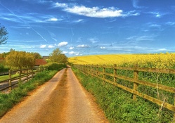 lovely country road