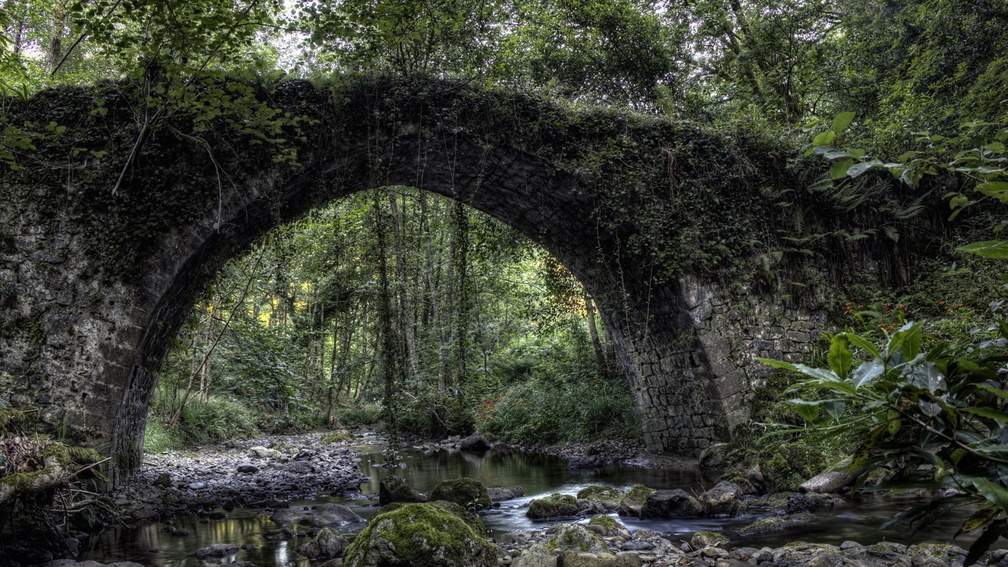 ivy covered old arched stone bridge