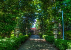 Shinto Shrine pathway