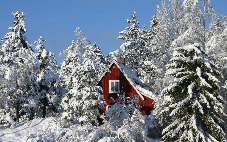 WINTER IN THE SWEDISH MOUNTAINS
