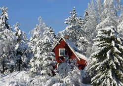 WINTER IN THE SWEDISH MOUNTAINS
