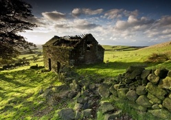 ruins of a stone cottage in pasture land