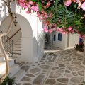 lovely side street in a greek village
