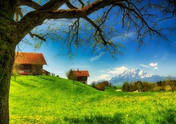 village in a beautiful meadow in spring