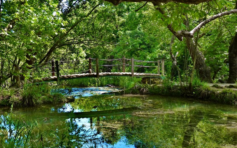 lovely little wooden bridge on forest stream
