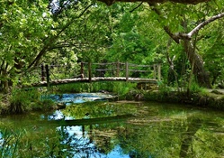 lovely little wooden bridge on forest stream