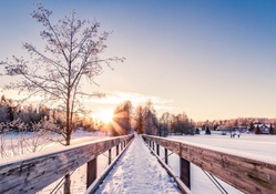 bridge on a lake in winter at sunrise