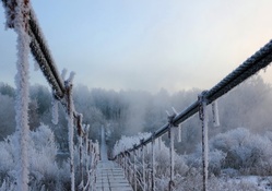 gorgeous suspension bridge in winter