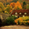 Cottage at Fall