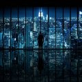 Window to Gotham City