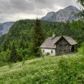 lovely cabin in austrian mountains