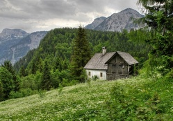 lovely cabin in austrian mountains