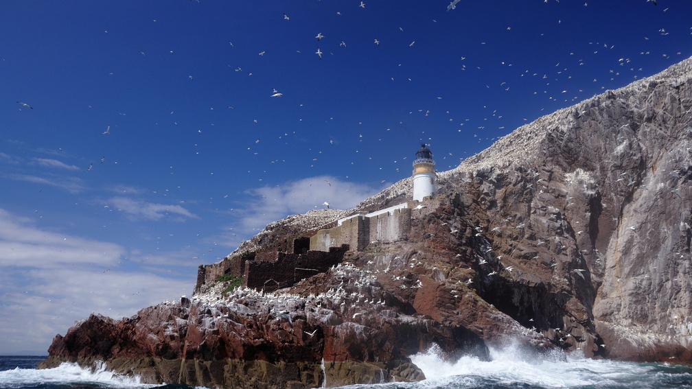 gulls over a lighthouse on a scottish rocky coast
