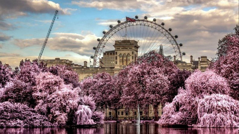 london_eye_behind_beautiful_garden_hdr.jpg