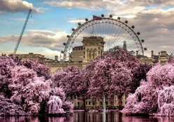 london eye behind beautiful garden hdr