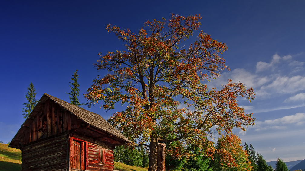 beautiful log cabin in autumn