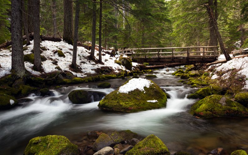 wooden_bridge_over_forest_stream_in_winter.jpg