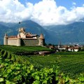 castle surrounded by vineyards in switzerland