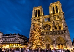 notre dame cathedral in paris at christmas hdr