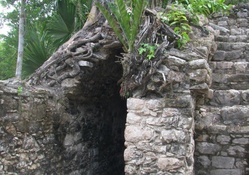 Mayan Ruins @ Coba
