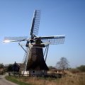 Dutch Mill De Gooijer Molen