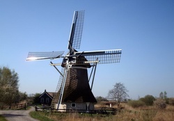 Dutch Mill De Gooijer Molen