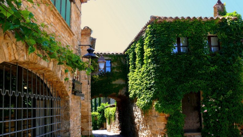 ivy_covered_houses_in_catalonia_spain.jpg