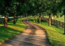 country road through horse farms