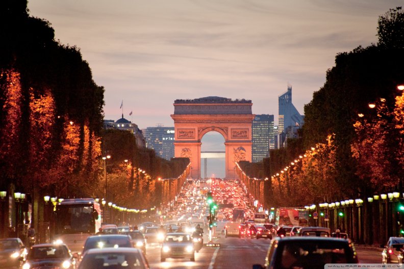 the_avenue_des_champs_elysee.jpg