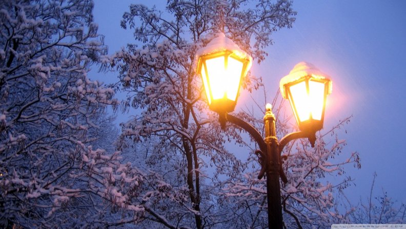 lamp_posts_in_winter.jpg