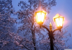 lamp posts in winter