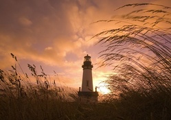 gorgeous lighthouse sunset