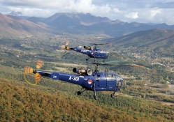 blue helicopters