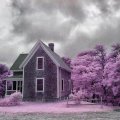 At Home in Cool, Misty Lavender