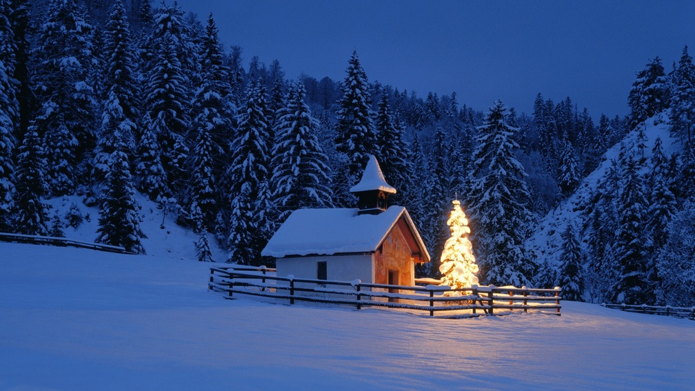 beautiful christmas tree by a chapel in bavaria 