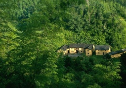 Houses In Forest