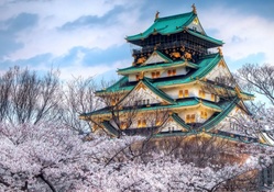 cherry blossom Temple