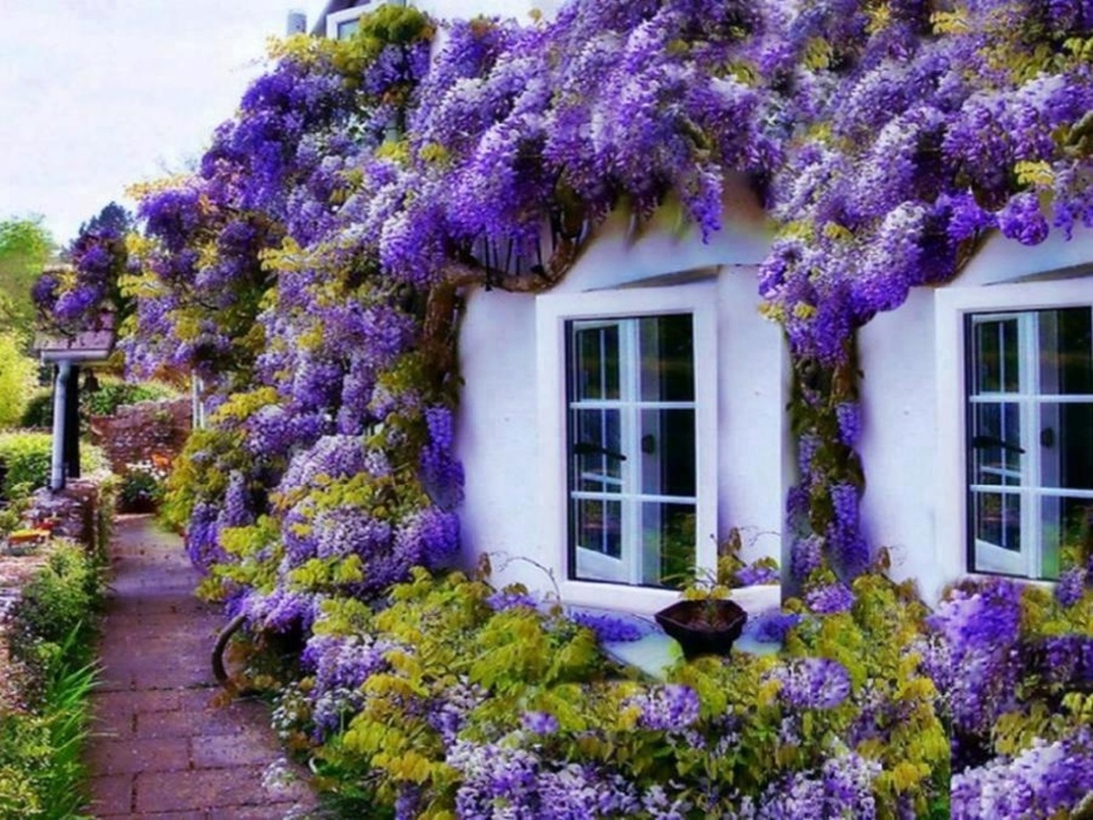 Floral house