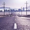 violet highway