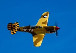 Curtiss P_40 Warhawk