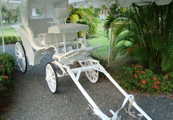 Beautiful white carriage