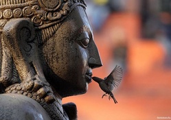 statue and bird